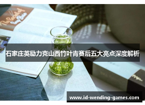 石家庄英励力克山西竹叶青赛后五大亮点深度解析
