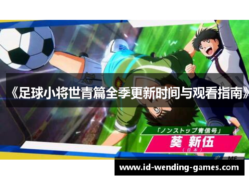 《足球小将世青篇全季更新时间与观看指南》