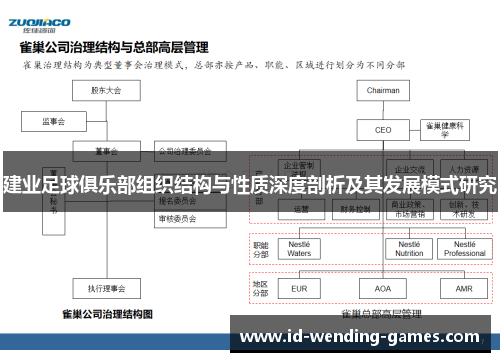 建业足球俱乐部组织结构与性质深度剖析及其发展模式研究