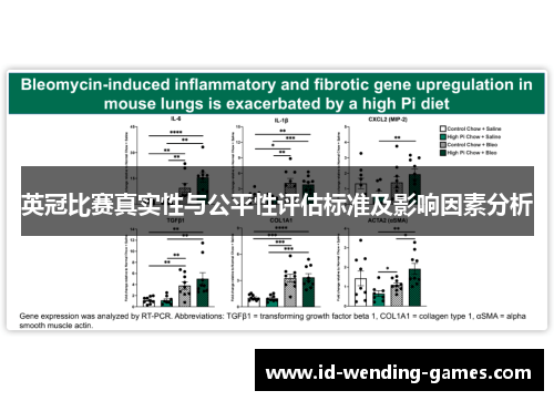 英冠比赛真实性与公平性评估标准及影响因素分析